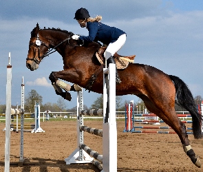 Kobieta, Hippika, Przeszkody, Koń