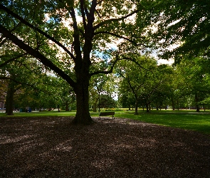 Queens park, Toronto
