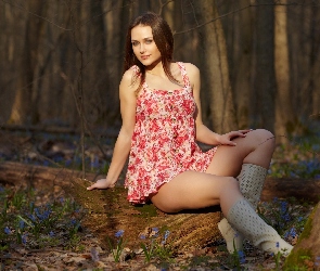 Dziewczyna, Las
