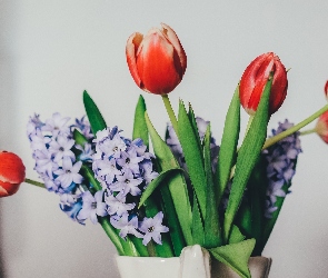 Tulipany, Kwiaty, Bez
