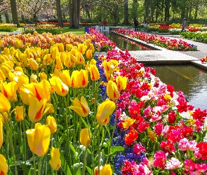 Wiosna, Tulipany, Holandia, Keukenhof, Lisse, Park