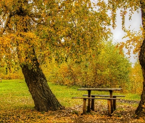 Park, Ławka, Jesień