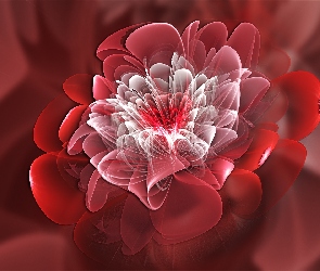Kwiat, Abstrakcja
