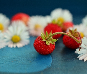 Kwiaty, Poziomki