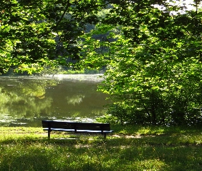 Park, Staw, Ławka
