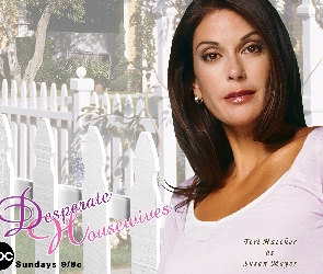 Desperate Housewives, napis, płot, Teri Hatcher