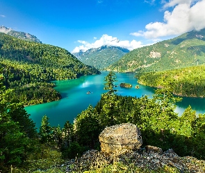 Kamień, Jezioro, Góry, Lasy