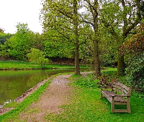 Ścieżka, Ławka, Park