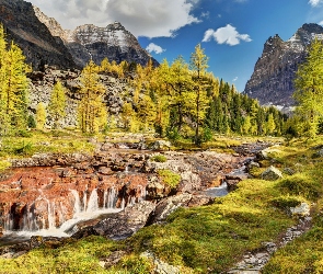 Las, Góry, Park, Kanada