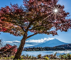 Promienie, Jezioro, Jesień, Japonia, Góra, Słońca, Fuji, Drzewa