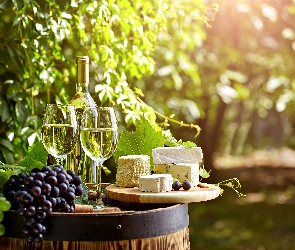 Białe, Ogród, Sery, Winogrona, Wino