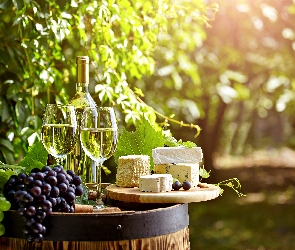 Wino, Ogród, Winogrona, Sery, Białe
