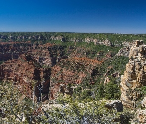 Park, USA, Kanion, Arizona