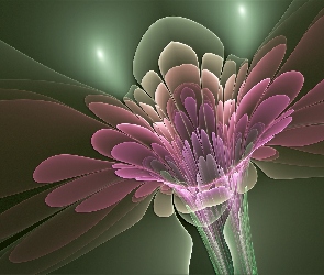 Abstrakcja, Fraktal, Kwiat