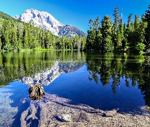 Las, Jezioro, Góry
