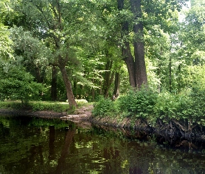 Sankt Petersburg, Jezioro