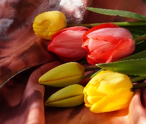 Bukiet, Czerwone, Kolorowe, Żółte, Tulipany