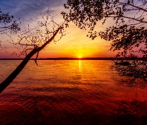 Jezioro, Gałęzie, Zachód słońca
