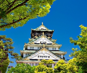 Japonia, Pałacyk