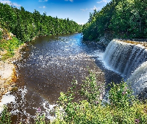Rzeka, Cień, Światło, Wodospad, Las