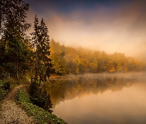 Mgła, Las, Chorwacja, Jezioro