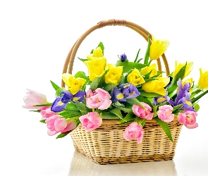 Tulipany, Bukiet Kwiatów, Kosz, Irysy