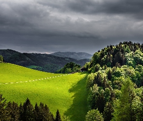 Las, Łąka, Góry