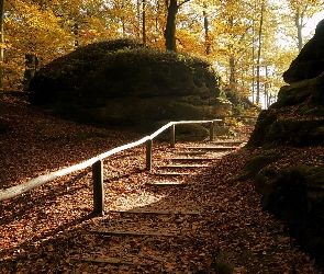 Park