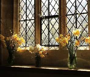 Okno, Żonkile, Kwiatów, Bukiety, Wnętrze