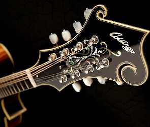 Gitara