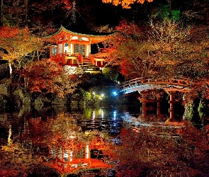 Ogród, Noc, Światła, Japonia