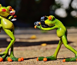 Sesja, Fotograficzny, Aparat, Zdjęciowa, Żaby