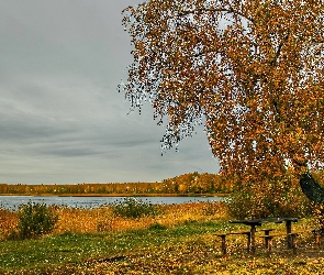 Jesień, Ławeczki, Jezioro, Las