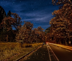 Samochód, Droga, Jesień, Las