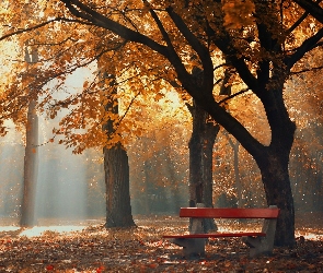 Jesień, Mgła, Ławka, Park