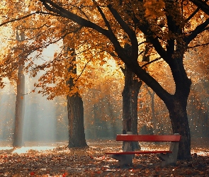 Mgła, Ławka, Jesień, Park