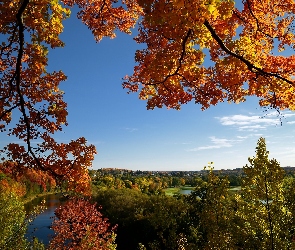 Las, Rzeka, Jesień