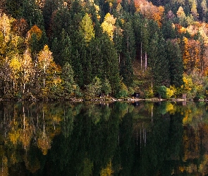 Jesień, Odbicie, Las, Jezioro