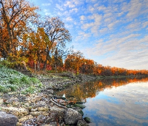 Jezioro, Drzewa, Kamienie