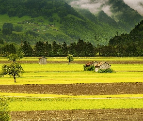 Góry, Drzewa, Pola, Łąki