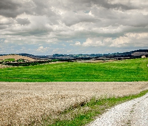 Krajobraz, Łąka, Droga, Pola