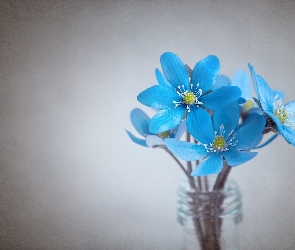 Kwiaty, Wazon, Niebieskie