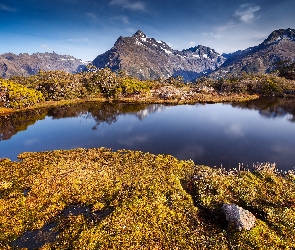Jezioro, Drzewa, Góry
