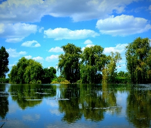 Jezioro, Obłoki, Niebo, Odbicie, Wierzby