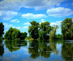 Wierzby, Obłoki, Odbicie, Niebo, Jezioro