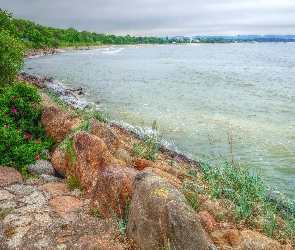 Rośliny, Kamienie, Bałtyk, HDR, Wybrzeże, Morze, Woda