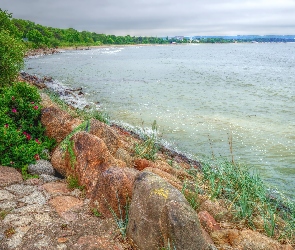 Rośliny, Kamienie, Bałtyk, HDR, Wybrzeże, Morze, Woda