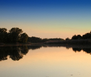 Zarośla, Drzewa, Wieczór, Jezioro