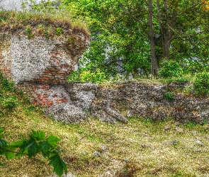HDR, Zieleń, Mur, Stary, Cegły, Ruiny