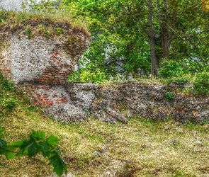 Stary, Mur, HDR, Ruiny, Zieleń, Cegły